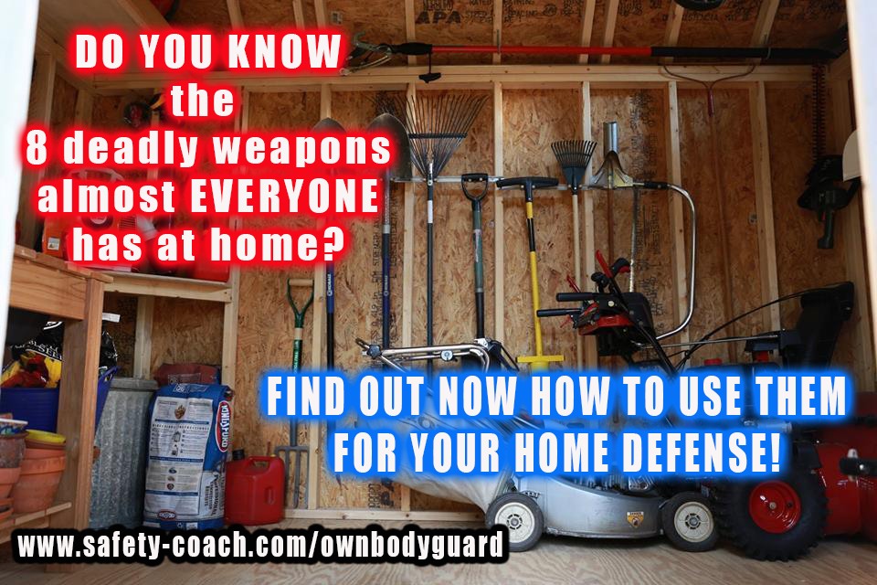 Home Defense Waffen