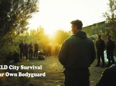 SHIELD City Survival - Be your own bodyguard